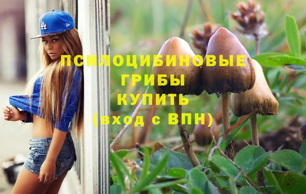 прущая мука Нея