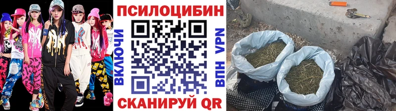 Галлюциногенные грибы Magic Shrooms Торжок